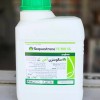 کود آهن سکوسترن کمپانی سینجنتا