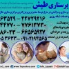 مرکز خدمات پرستاری پزشکی طپش