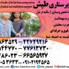 نگهداری سالمند در تهران