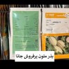 فروش و ارسال بذر خربزه جانا BASF نانهمز