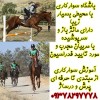 آموزش سوارکاری در کرج  09378297778