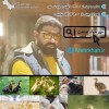 جوجه گوشتی جوجه بومی جوجه تخم گذار