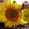 خرید اسانس خوراکی