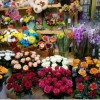 پیش فروش غرفه های 18 متری بازار گل و گیاه (عباس آب