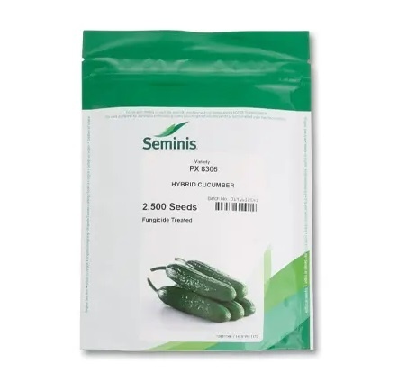 بذر خیار PX 8306 سمینیس - فروش و ارسال
