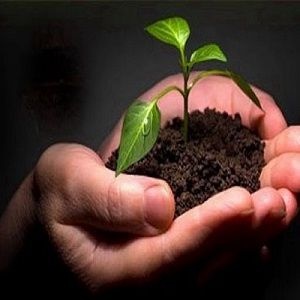 کمپ ترک اعتیاد(راهی به سوی نور