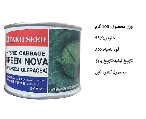 بذر کلم پیچ گرین نوا تاکی سید