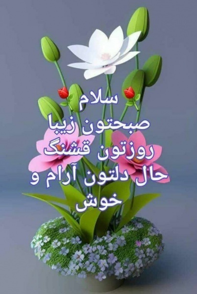 روغن زیتون مستقیم از کارخانه و باغدار