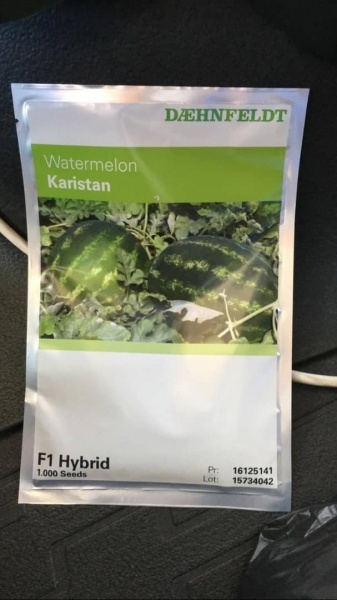 بذر هندوانه Karistan F1 - اسال به سراسر کشور