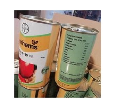 فروش و ارسال بذر گوجه فرنگی نانهمز سانسید 6189
