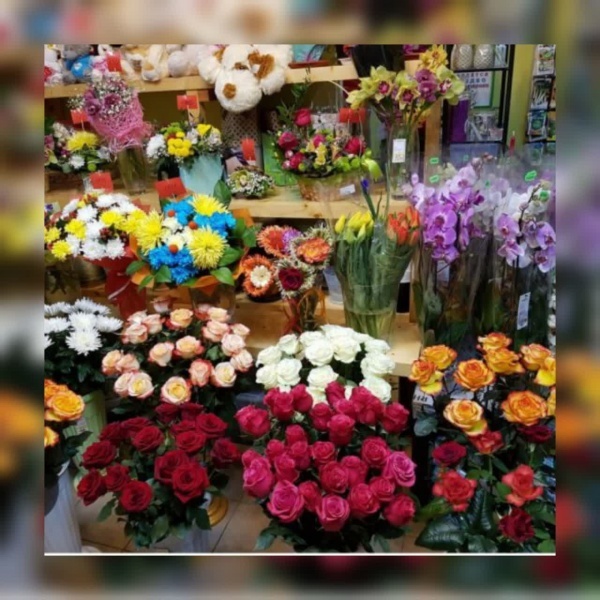 پیش فروش غرفه های 18 متری بازار گل و گیاه