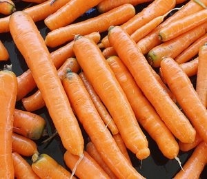 بذر هویج سانمیک نابا