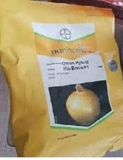 بذر پیاز ریو براوو