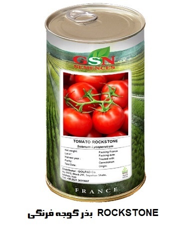 فروش بذر گوجه فرنگی ROCKSTONE
