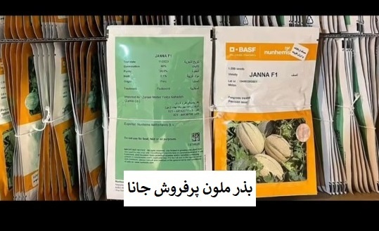 فروش و ارسال بذر خربزه جانا BASF نانهمز