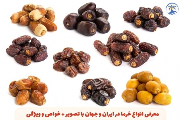 فروش خرمای درجه۱جیرفت