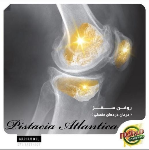 خرید روغن گیاهی در شیراز
