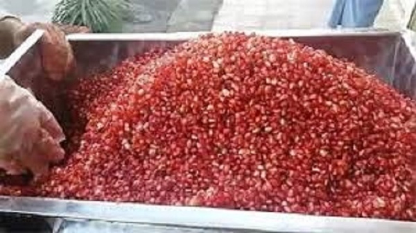 فروش دستگاه آب انار گیری (انار دون شده )