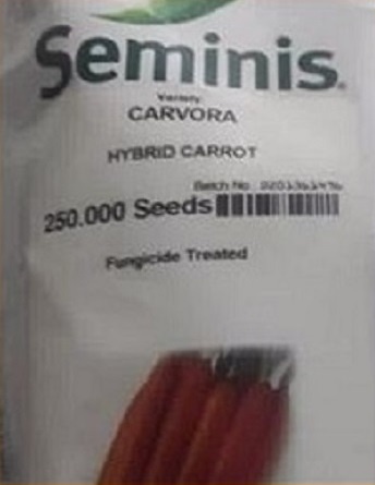 قیمت بذر هویج کارورا