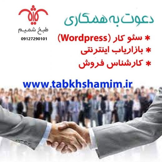 متخصص seo