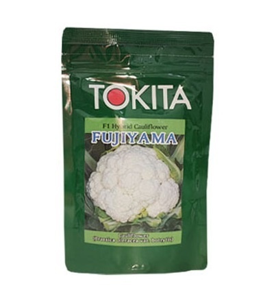 فروش بذر گل کلم FUJIYAMA توکیتا، بذر گل کلم درجه 1