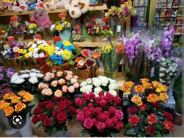 پیش فروش غرفه های 18 متری بازار گل و گیاه (عباس آب