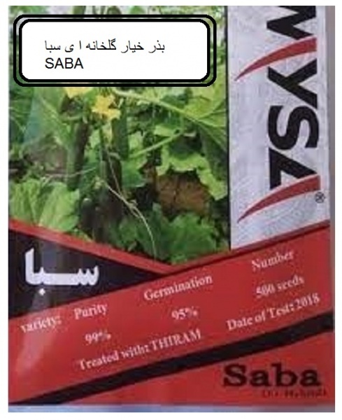 بذر خیار سبا